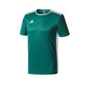 Camiseta Adidas Entrada 18 Shirt s/s Dunkelgrün