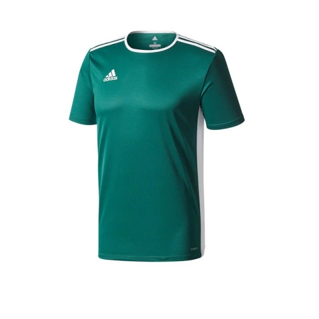 Camiseta Adidas Entrada 18 Shirt s/s Dunkelgrün