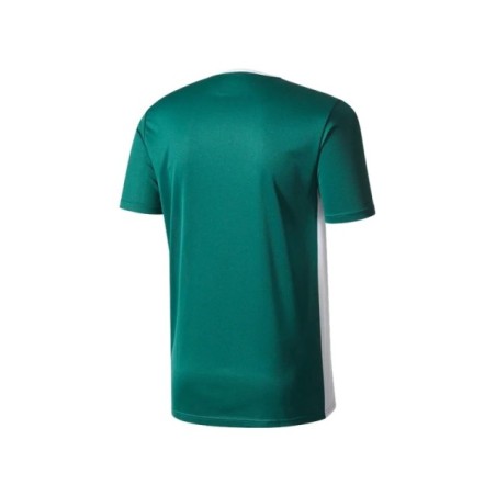 Camiseta Adidas Entrada 18 Shirt s/s Dunkelgrün