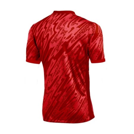 Camiseta roja Nike Gardien V GK-Shirt s/s