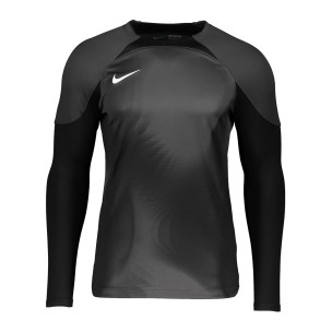 Camiseta manga larga Nike Gardien IV GK l/s