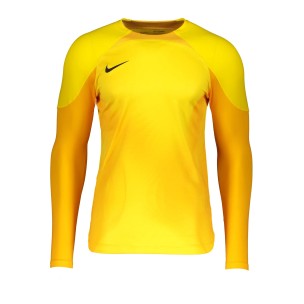 Camiseta de manga larga Nike Gardien IV GK l/s