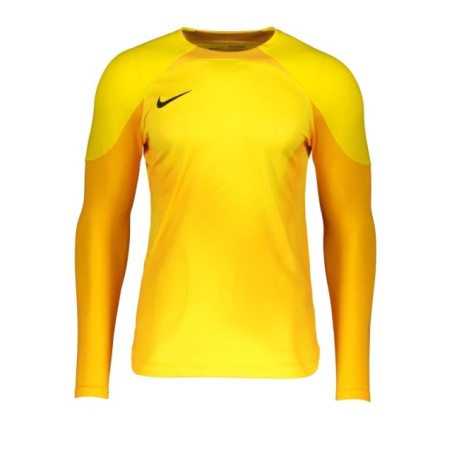 Camiseta de manga larga Nike Gardien IV GK l/s