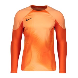 Camiseta manga larga infantil Nike Gardien IV