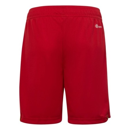 Pantalones rojos deportivos Adidas Tiro 23 GK