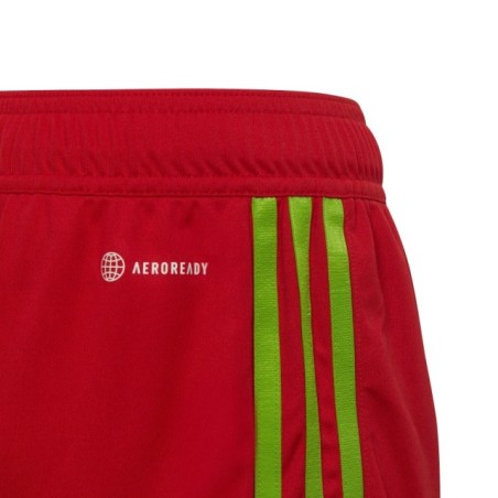 Pantalones rojos deportivos Adidas Tiro 23 GK