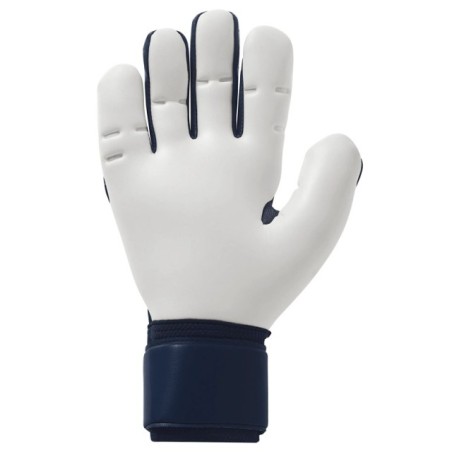 Guantes de portero Uhlsport Earth Edition Absolutgrip HN