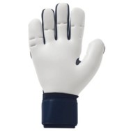 Guantes de portero Uhlsport Earth Edition Absolutgrip HN Guantes de portero Uhlsport Earth Edition Absolutgrip HN