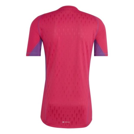 Camiseta Adidas Tiro 23 Pro GK M/C