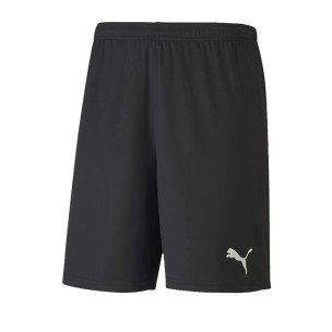 Pantalones deportivos Puma teamGOAL 23