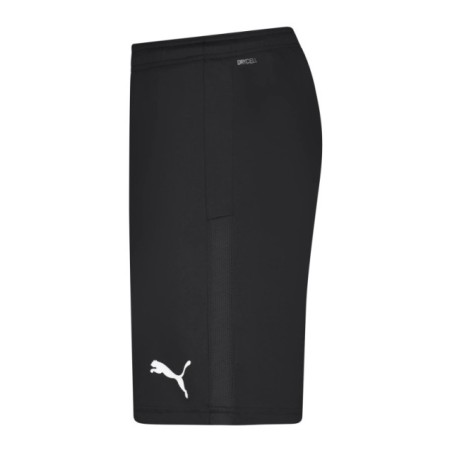 Pantalones deportivos Puma teamGOAL 23