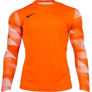 Camiseta de portero Nike Park IV GK